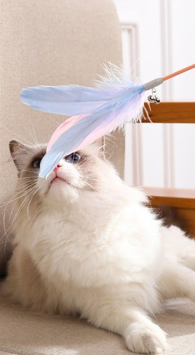 New Pet Cat Toy Products Feather Teasing Stick